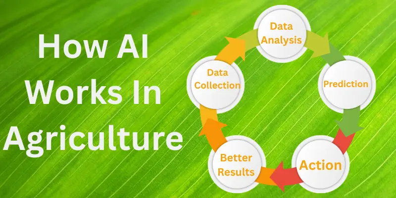 How AI works in agriculture, showing a cycle of data collection, data analysis, prediction, action and better results.