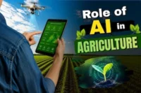 The Role of AI in Agriculture: Smart Farming  guide