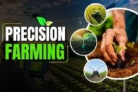 Precision Farming: A Complete Guide to Smart Agriculture, Technologies, and Benefits 