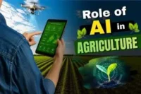 The Role of AI in Agriculture: Smart Farming  guide