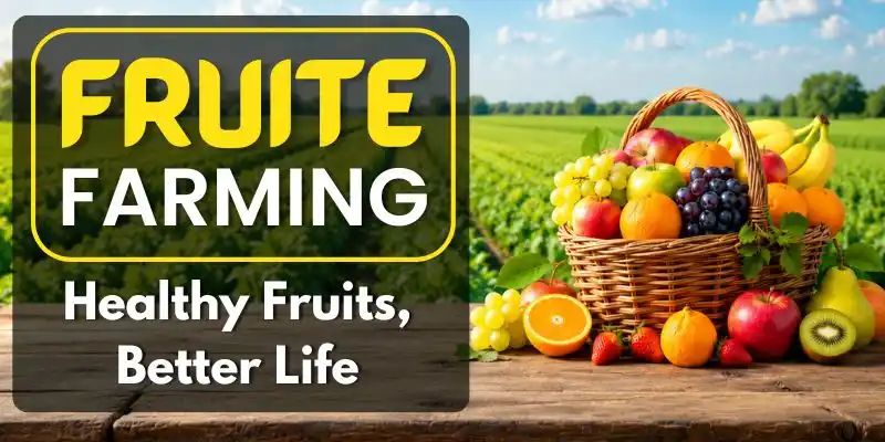 Smart Irrigation System Using Ai: The Future Of Water-Efficient Farming image showing fruit farming