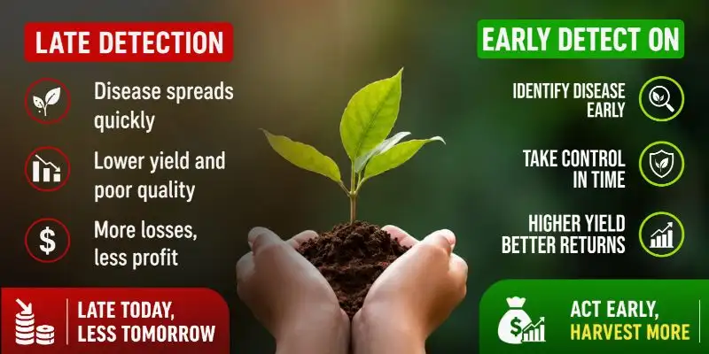 Ai Crop Disease Detection: Transforming Modern Agriculture With Smart Technology image showing the difference between late detection and early detection.